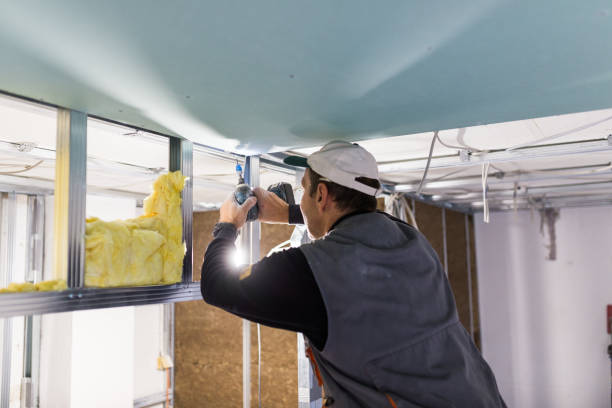 Best Residential Insulation in Byron Center, MI