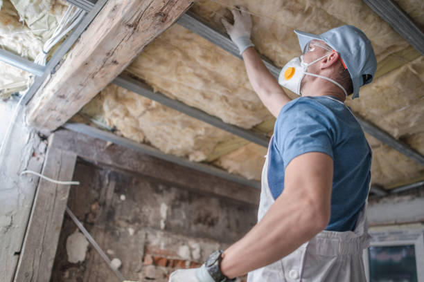Best Geographic-Specific Insulation Services in Byron Center, MI