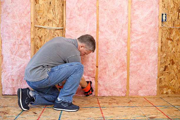 Best Fiberglass Insulation in Byron Center, MI