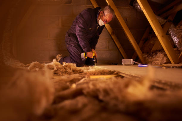 Types of Insulation We Offer in Byron Center, MI